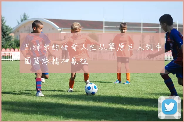 巴特尔的传奇人生从草原巨人到中国篮球精神象征
